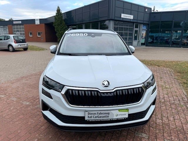 Fahrzeugabbildung SKODA Karoq Tour Allwetter und AHZV