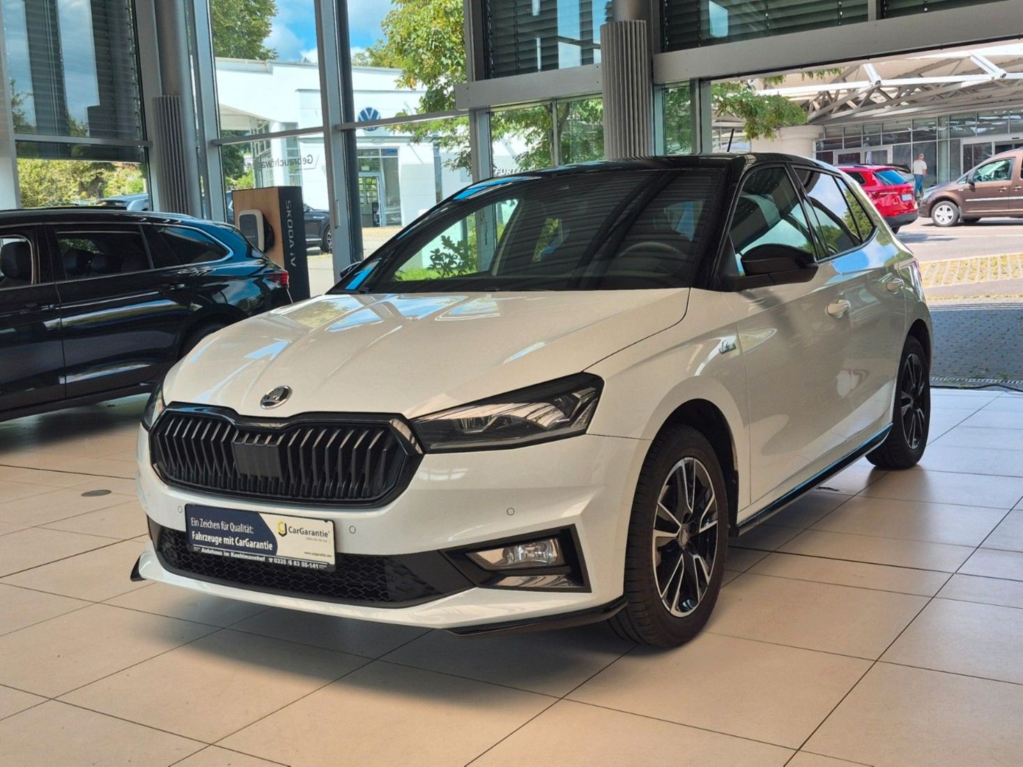 SKODA Fabia 1.0 TSI Monte Carlo *Winterräder*