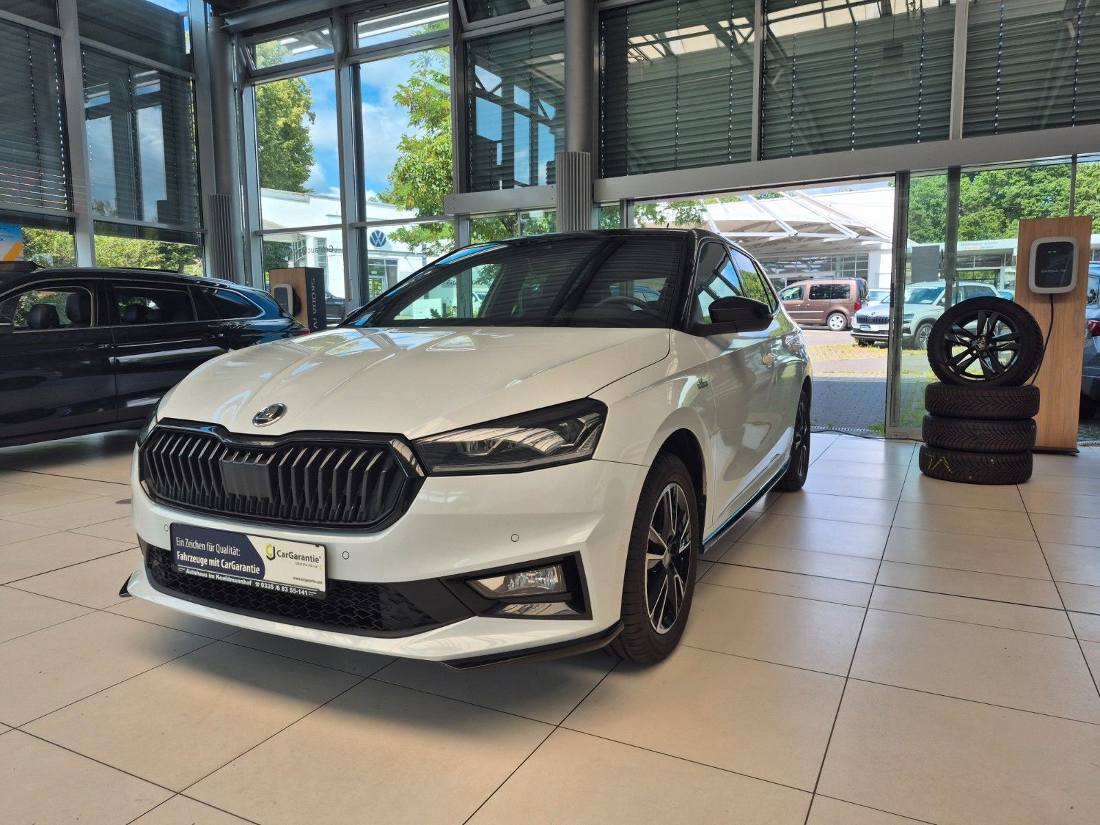 Fahrzeugabbildung SKODA Fabia 1.0 TSI Monte Carlo *Winterräder*