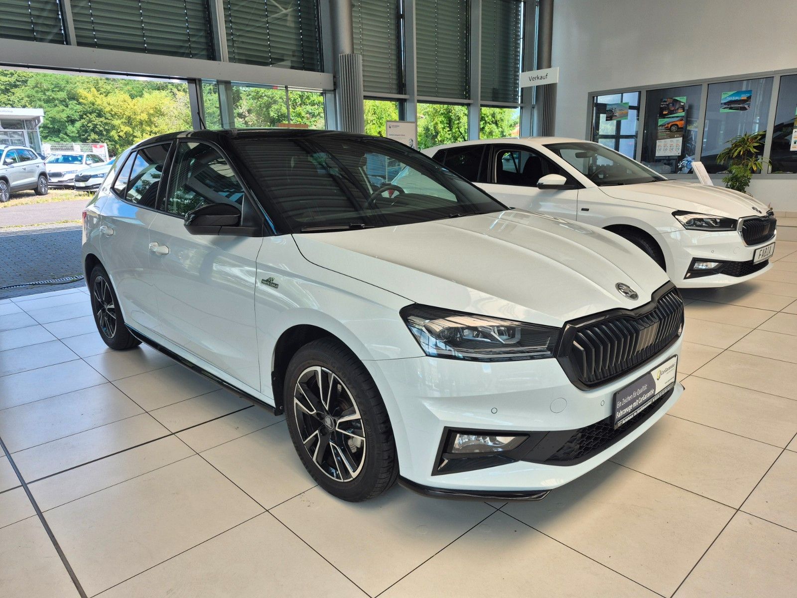 Fahrzeugabbildung SKODA Fabia 1.0 TSI Monte Carlo *Winterräder*