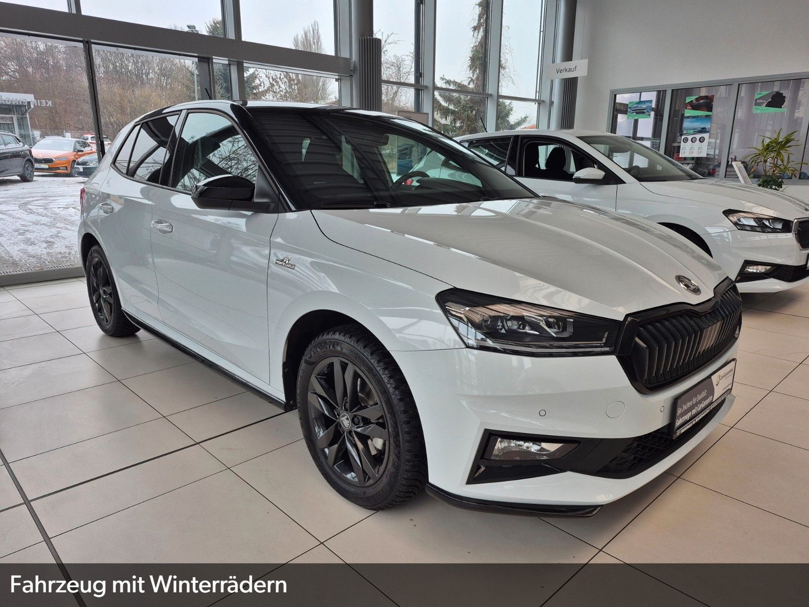 Fahrzeugabbildung SKODA Fabia 1.0 TSI Monte Carlo *Winterräder*