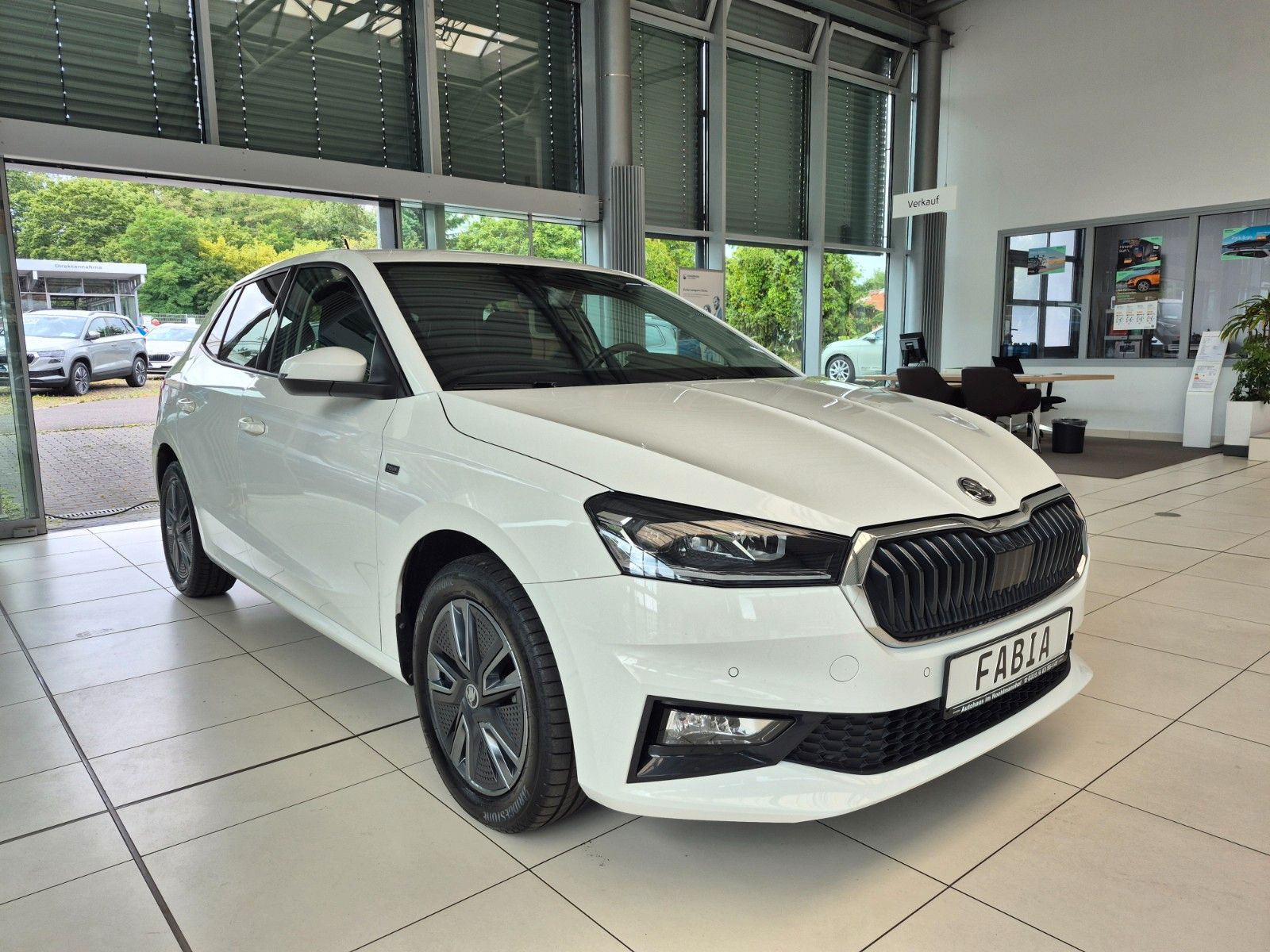 Fahrzeugabbildung SKODA Fabia 1.0 TSI Tour *WKR, beheiz. Lenkrad & WSS*