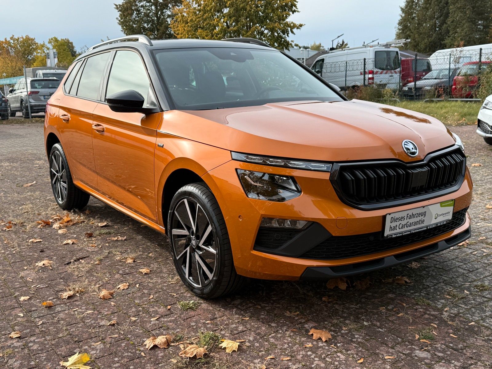 Fahrzeugabbildung SKODA Kamiq Selection*Kamera*WKR*Automatik*